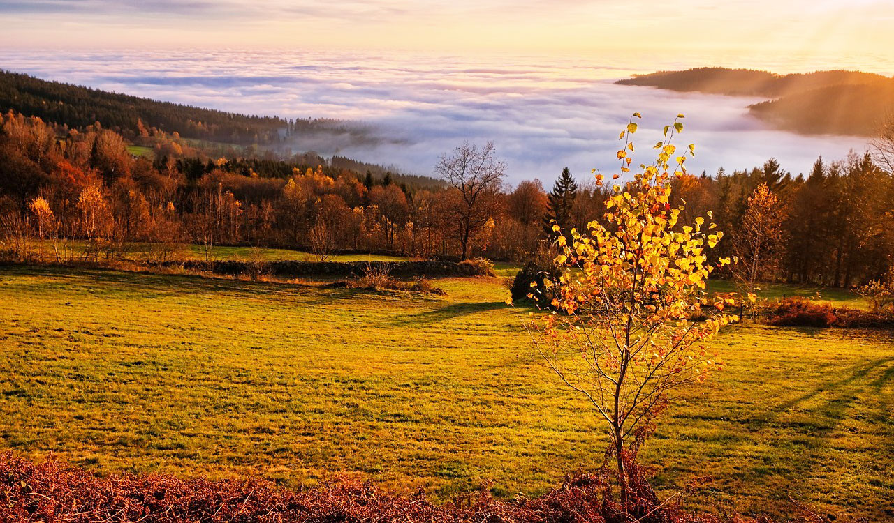 Landskapsbild med hösttema, fjällmiljö